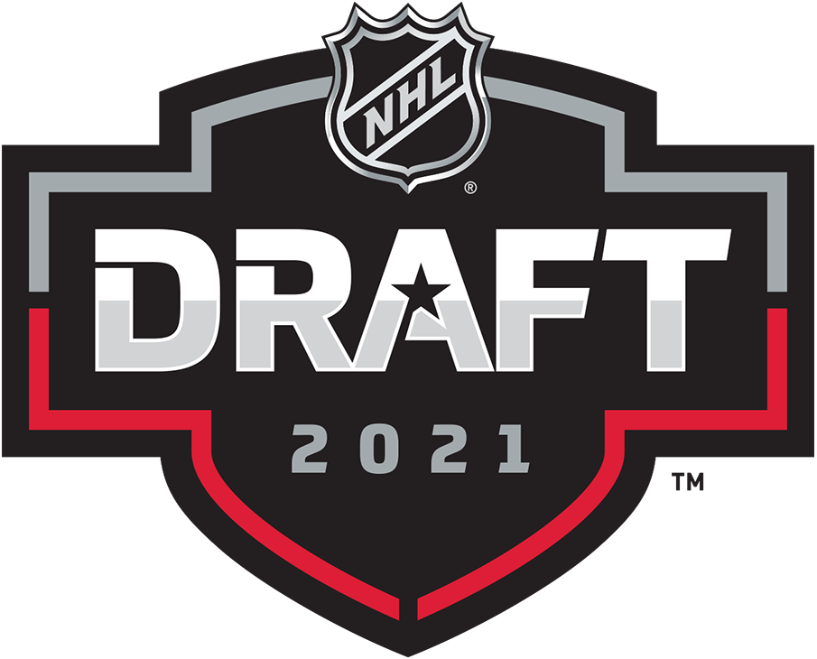 NHL Draft 2021 Primary Logo iron on transfers for clothing